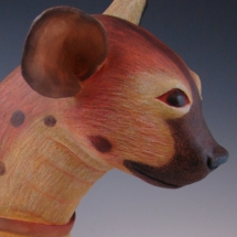 3. Hyena With GoPro - Detail